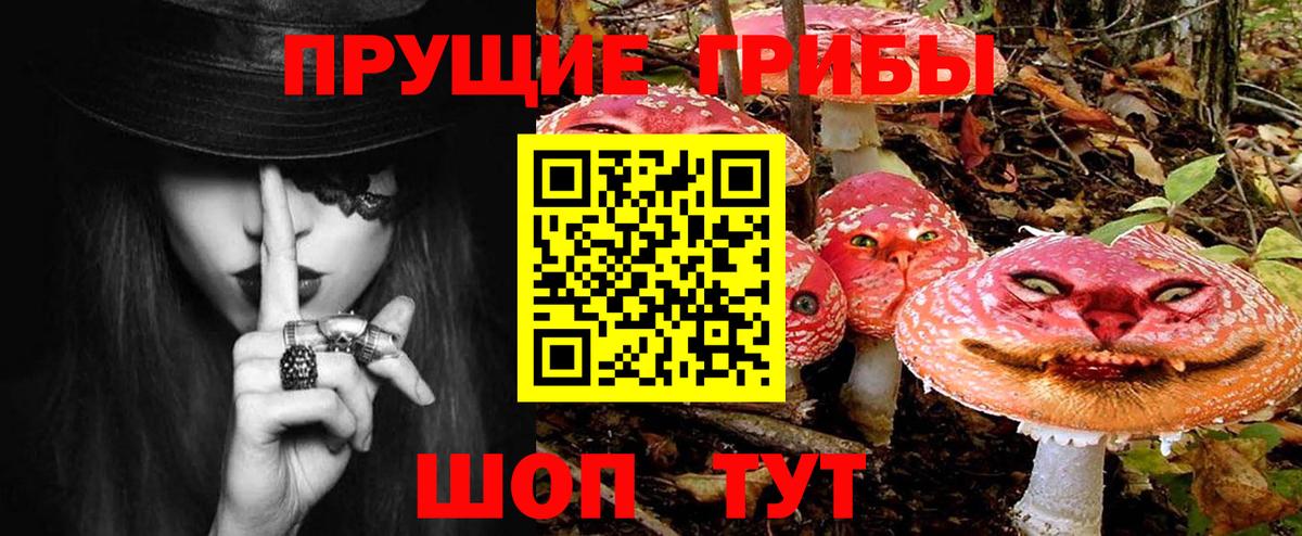 Галлюциногенные грибы мицелий  Вход с VPN  Прохладный 